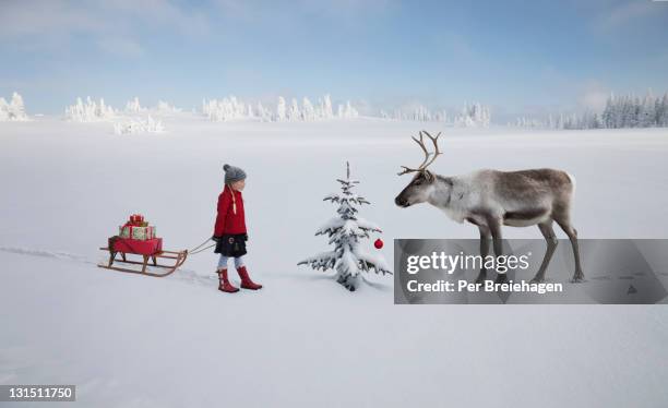 girl with sled meets reindeer by christmas tree - reno nevada fotografías e imágenes de stock