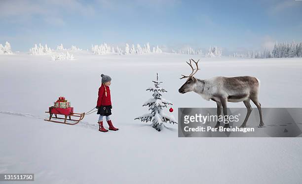 girl with sled meets reindeer by christmas tree - one per stock pictures, royalty-free photos & images
