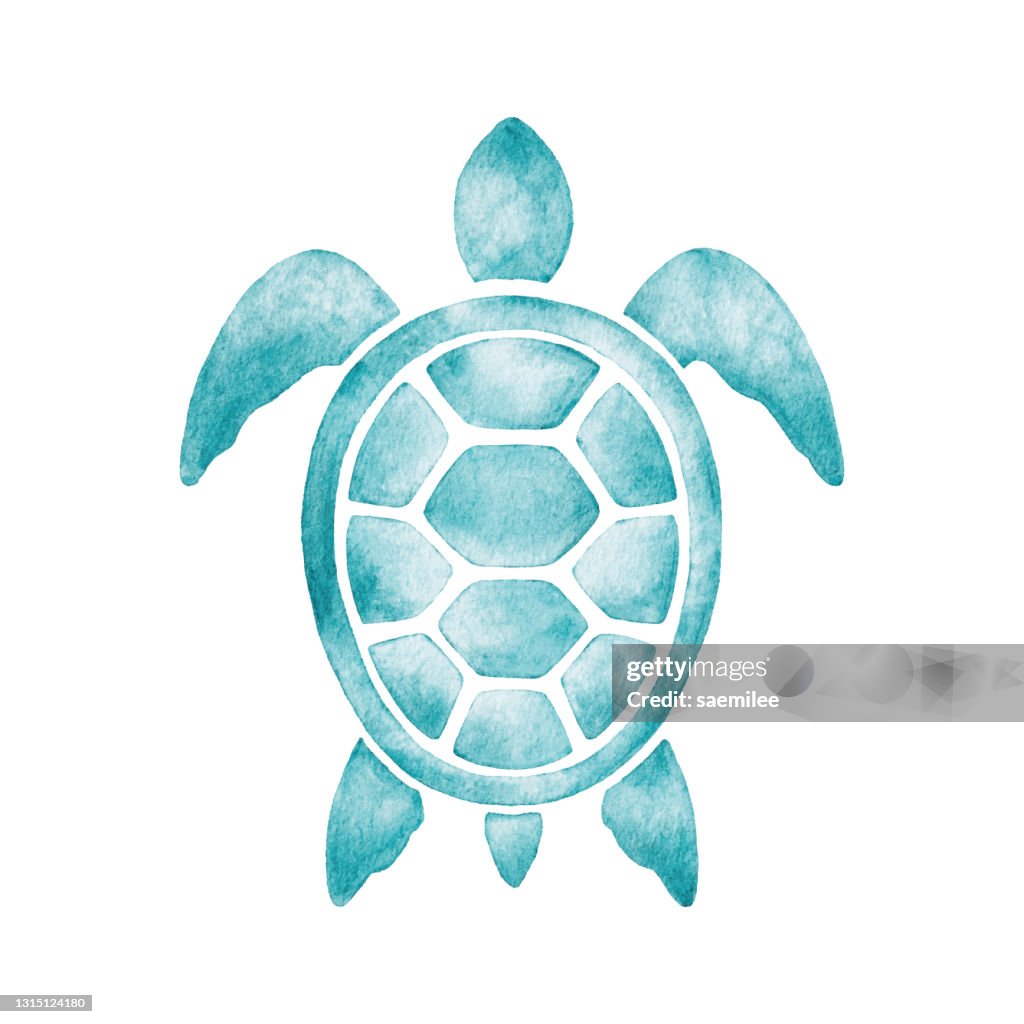 Watercolor Turtle