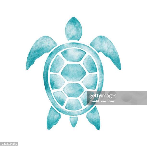 watercolor turtle - sea turtle illustration stock illustrations