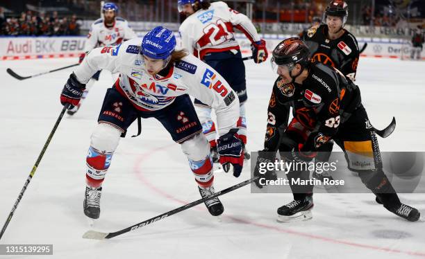 Spencer Machacek of Grizzlys Wolfsburg Björn Krupp challenges of Adler Mannheim during the Penny DEL Playoff Semi Final Game 2 between Grizzlys...