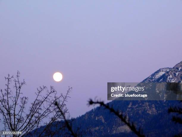 full moon over mountains - total lunar eclipse over germany stock pictures, royalty-free photos & images