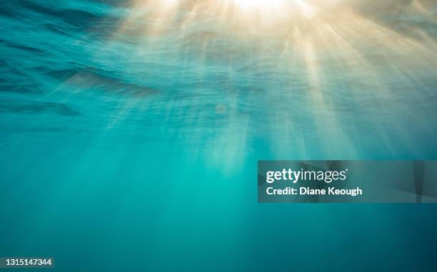 morning sunrays bursting through the ocean surface - sott'acqua foto e immagini stock