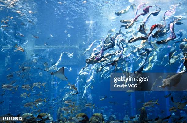 Divers perform under water as they set a new Guinness World Record for the 'largest underwater mermaid show' at Atlantis resort on April 28, 2021 in...