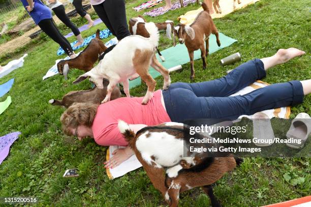 Sinking Spring Farm Today Sinking Spring Farm Photos and Premium High Res Pictures - Getty Images