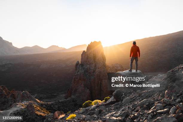 man admiring rock formations in the teide caldera, tenerife, spain - volcanic rock bildbanksfoton och bilder