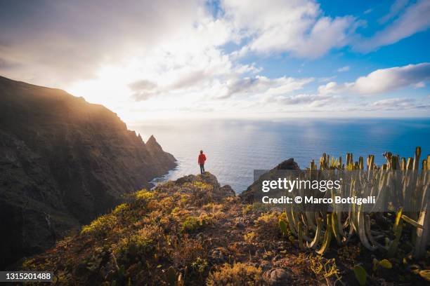 one person standing on a cliff in the anaga coast, tenerife, spain. - canary stock pictures, royalty-free photos & images