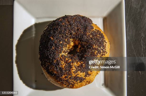 poppy seed and sesame seed bagel on a square white plate - graine de pavot photos et images de collection