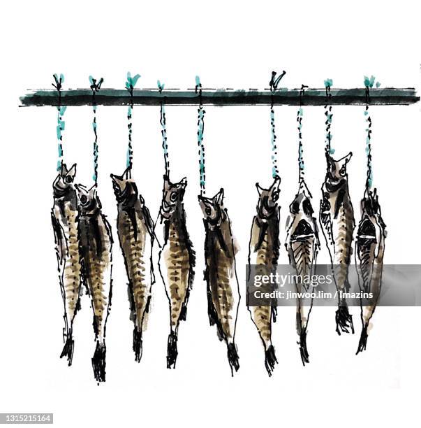 alaska pollock - alaska pollock stock illustrations