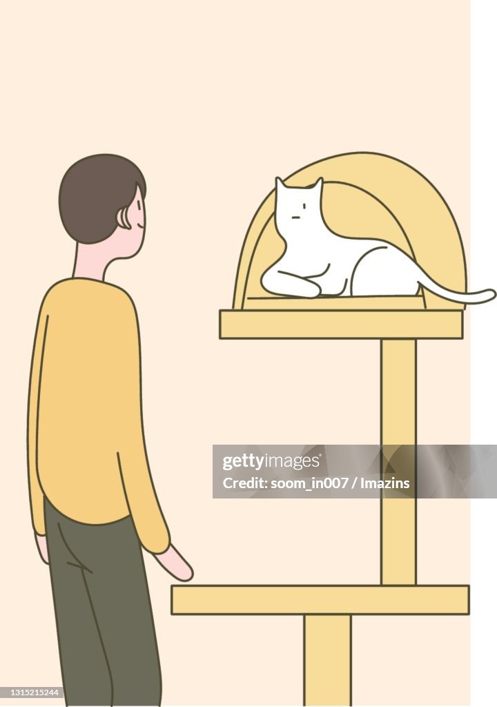 A Cat on a Cat Tree