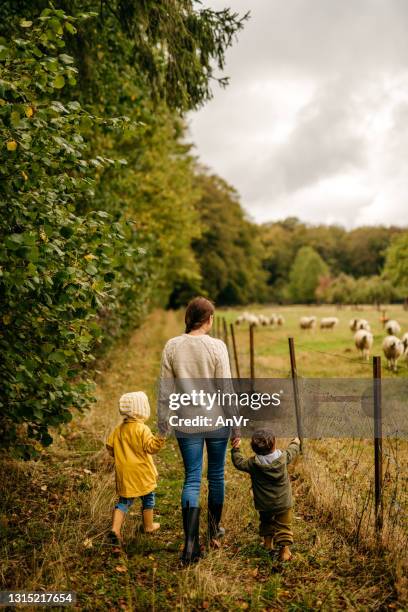 jonge moeder met twee kleine kinderen op een gang in aard - kind dier stockfoto's en -beelden