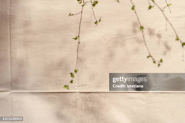 shadows of springtime twigs on rustic linen tablecloth background - linen stockfoto's en -beelden
