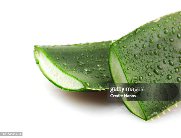 aloe vera plant on white background - aloe fotografías e imágenes de stock