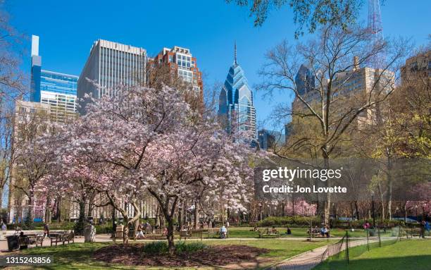 Philippi Spring Philadelphia Spring Photos and Premium High Res Pictures - Getty Images