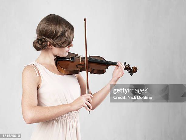 light449 - violin stock pictures, royalty-free photos & images