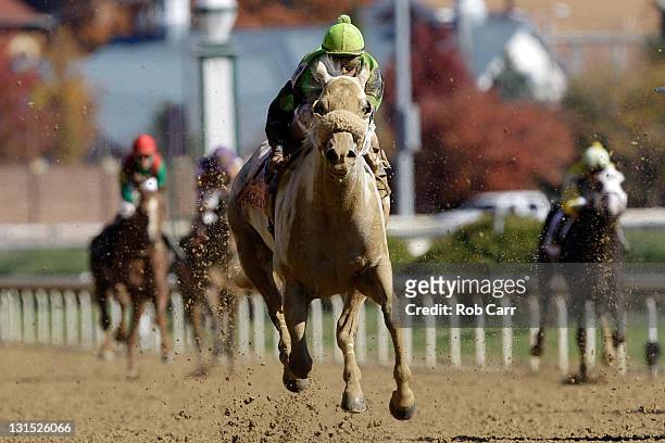 Jockey Cornelio Velasquez rides Afleet Again to win the Breeders' Cup Marathon during the 2011 Breeders' Cup World Championships at Churchill Downs...