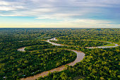 Aerial view over a tropical forest with a river meandering through the canopy and a clouded sky with room for copyspace