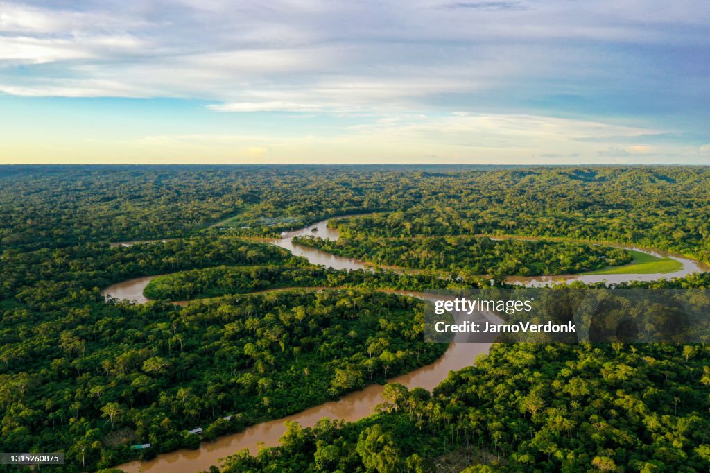 Aerial view over a tropical forest with a river meandering through the canopy and a clouded sky with room for copyspace