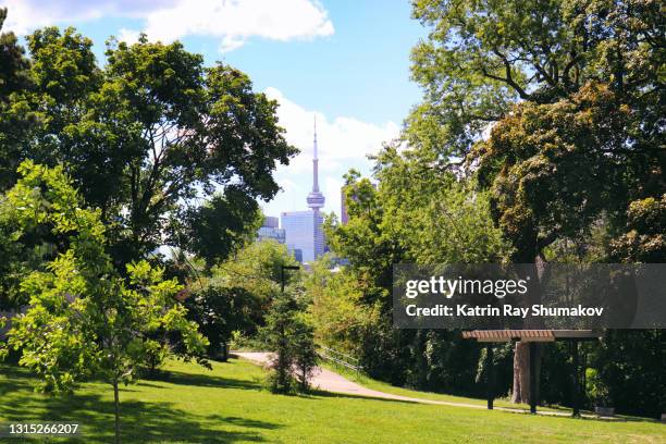 summery green toronto - day toronto foto e immagini stock