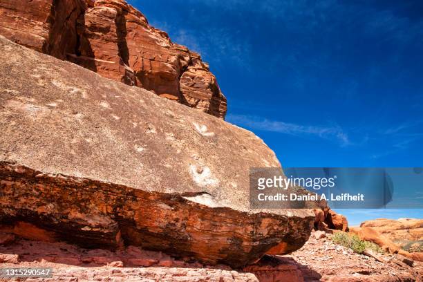 dinosaur tracks near moab, utah - dinosaur tracks stock pictures, royalty-free photos & images