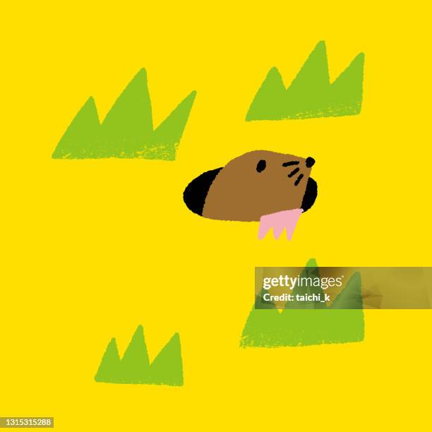 maulwurf, der aus dem loch kommt - maulwurf stock-grafiken, -clipart, -cartoons und -symbole