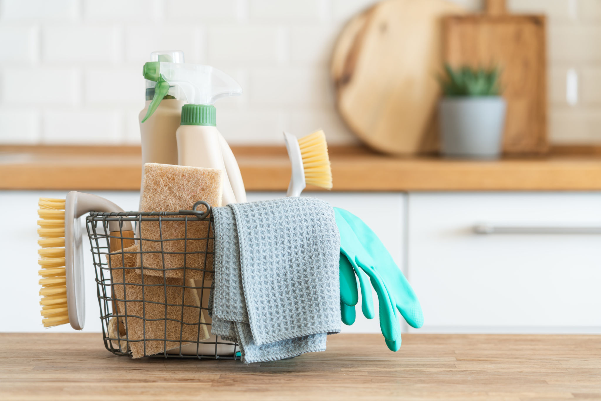 eco cleaning eco cleaning