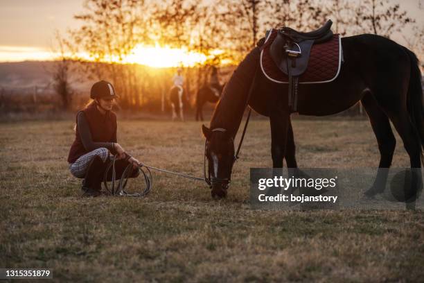 samen genieten van momenten van rust - paardrijbenodigdheden stockfoto's en -beelden