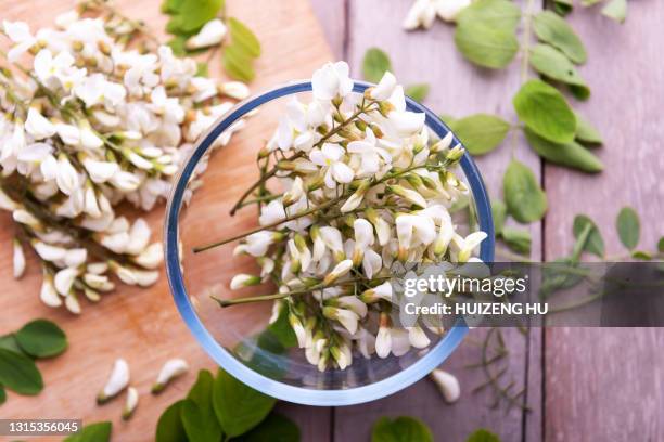 sophora flower. sophora japonica flower - sophora japonica stock-fotos und bilder