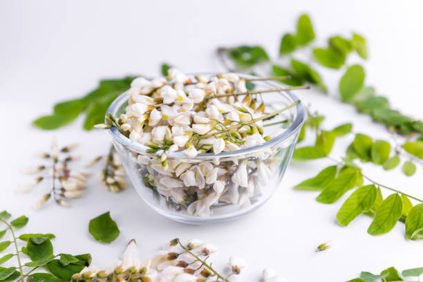 sophora flower. sophora japonica flower - sophora japonica stock pictures, royalty-free photos & images