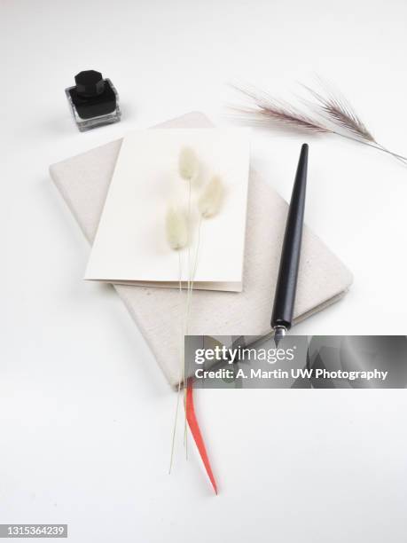 modern summer stationery still life. lagurus ovatus grassy foliage, craft envelope, fountain pen and soft shadows. blank greeting card mock up scene. beige table background in sunlight. flat lay, top view. - trip diary stock pictures, royalty-free photos & images