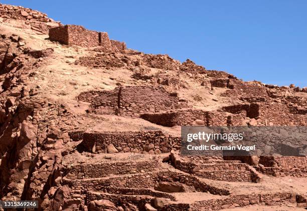 60 Quitor Stock Photos, High-Res Pictures, and Images - Getty Images