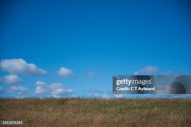 open grass field bright blue sky - open field stock pictures, royalty-free photos & images