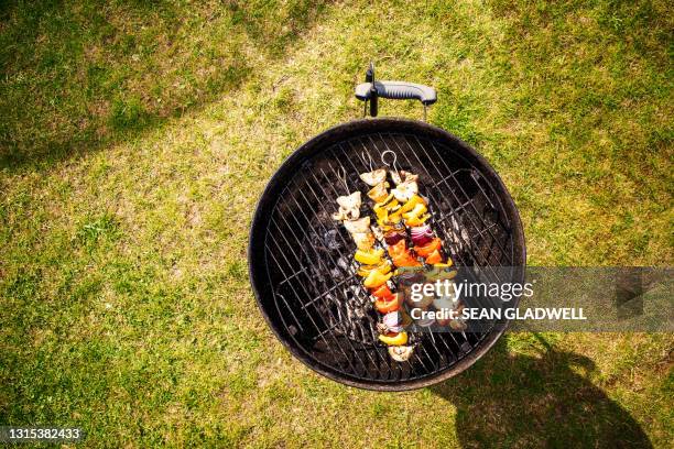 above bbq on grass - vegetable kebab stock pictures, royalty-free photos & images