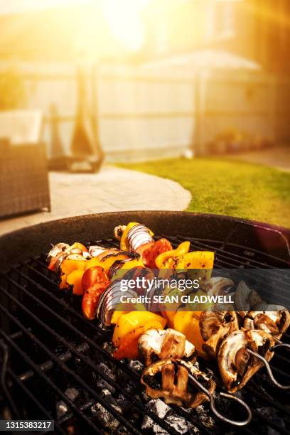 vegetable kebabs on bbq - vegetable kebab stock pictures, royalty-free photos & images