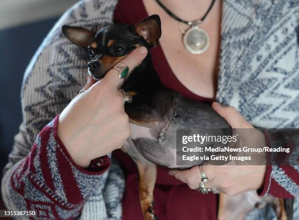 Chihuahua heart surgery GMR Dr. Heather Westfall, DVM saved Stella from euthanasia due to a heart defect. She took out a line of credit to get her a...