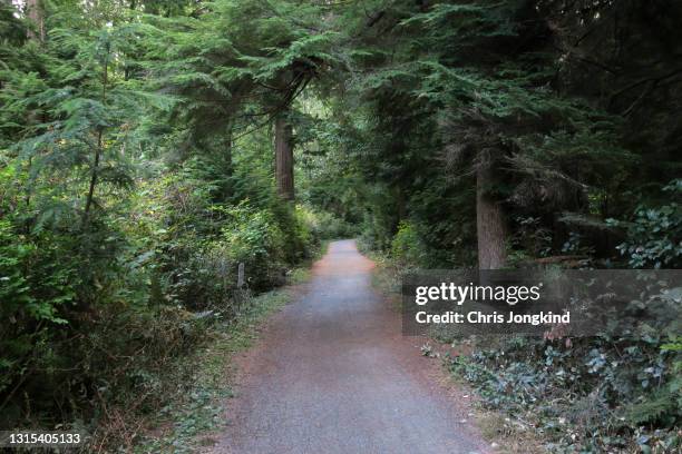 gravel footpath through forest - stanley park vancouver canada stockfoto's en -beelden