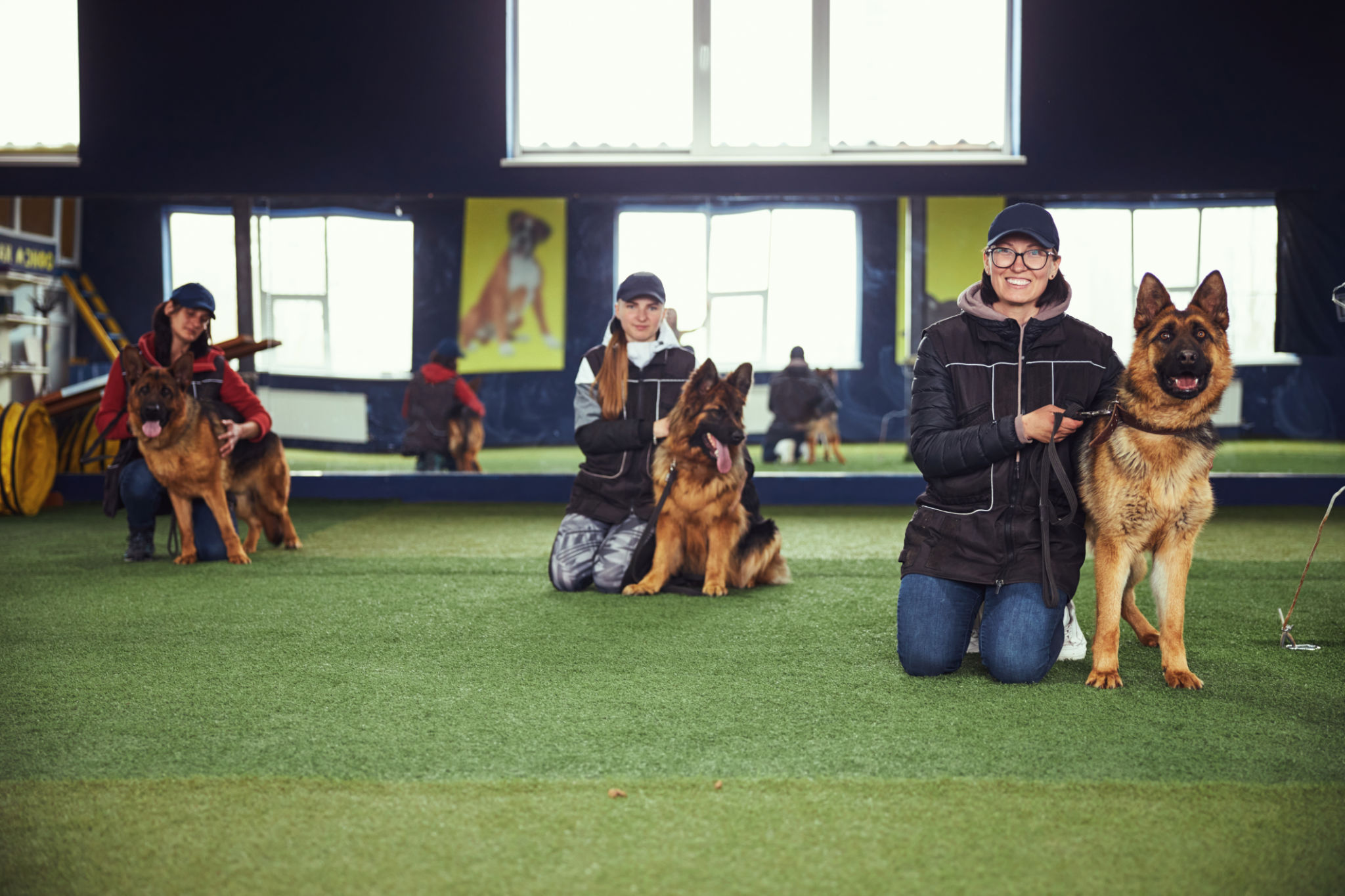 virtual dog training