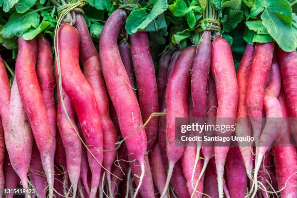 close up of radishes - turnip stock pictures, royalty-free photos & images