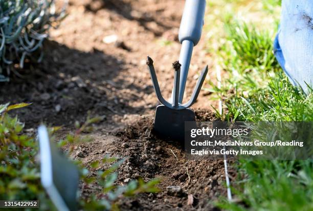 West Reading, PA A garden club member uses a hoe around the edge of a garden bed. At the Reading Public Museum Garden of Remembrance, maintained by...