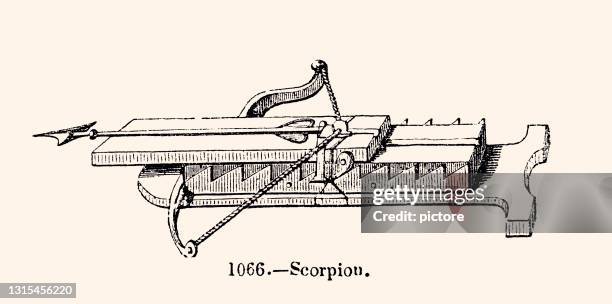 crossbow (xxxl) - crossbow stock illustrations