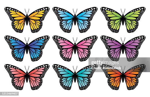 illustrazioni stock, clip art, cartoni animati e icone di tendenza di set di nove farfalle monarca colorate - farfalle