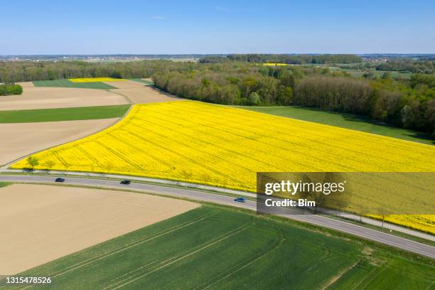 road in spring landscape, aerial view - canola stock pictures, royalty-free photos & images