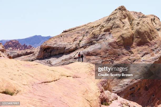 father and son view mountains and overlook in the valley of fire - 砂岩 ストックフォトと画像