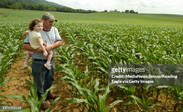 Photo by Lauren A. Little&#10;June 17, 2008&#10;&#10;Dwight A. Zook and his daughter, Mya G. Zook walk through one of his cornfields. For story on...