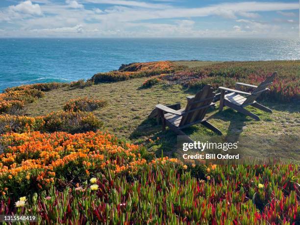 adirondack chairs on bluff by ocean in northern california on a sunny day - sonoma valley stock pictures, royalty-free photos & images