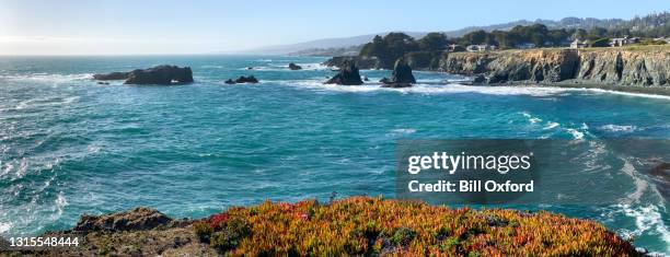 de oceaan van noord-californië met stapels op een zonnige dag. sonoma mendocino - noordelijk californië stockfoto's en -beelden