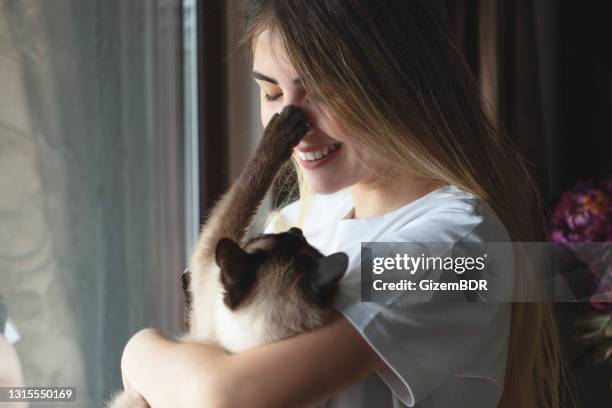 jonge vrouw die haar kat voor het venster koestert - siamese cat stockfoto's en -beelden