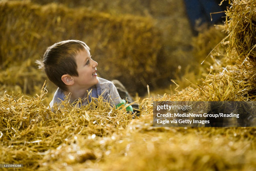 Hank Sellers, 5, of Annville, gets lost in a hay stack inside the North Hall during the 2018 Pennsylvania Farm Show. Photo by Natalie Kolb 1/9/2018