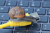 Slow internet speed suggested by a snail on a cable