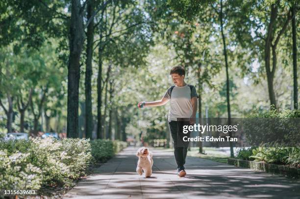 asiática china de pelo corto adulto hembra con su perro mascota caniche de juguete en el parque público uniéndose juntos por la mañana - dog walking fotografías e imágenes de stock